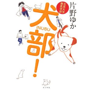 犬部
