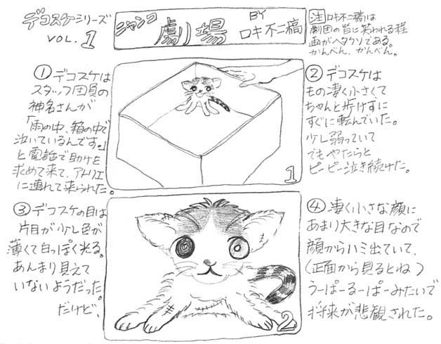 デコスケ