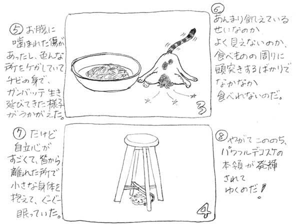デコスケ