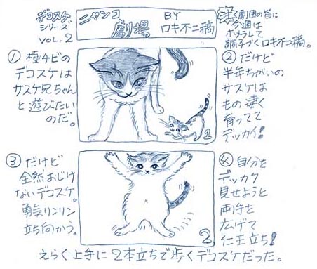 デコスケ