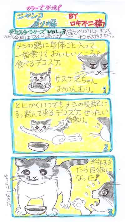 デコスケ